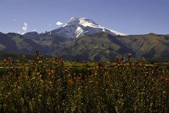 Quito et le haut plateau